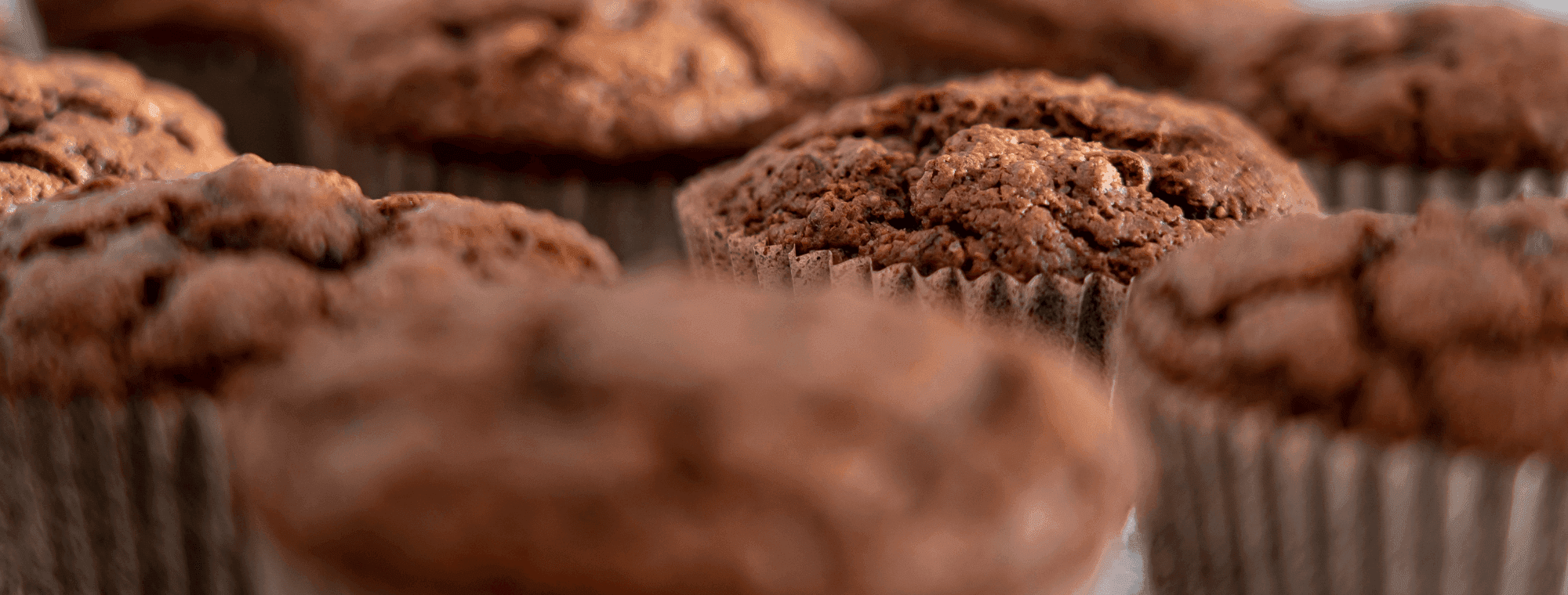 Chocolate cupcakes